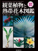 �M�ѐA���ƔM�щԖؐ}��