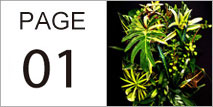 page_01
