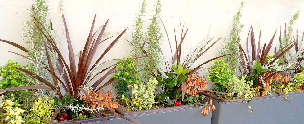 �A�������^��