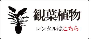 �����^��