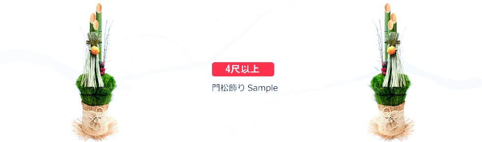 �叼�T���v��